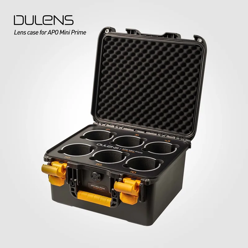 Dulens Mini Prime Safety Case in India | Colo Exim