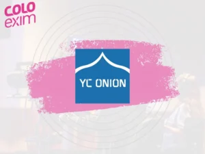 YC Onion